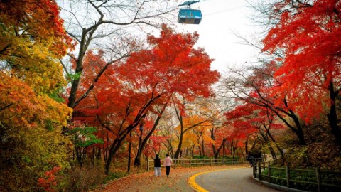 準備赴韓賞楓必讀！編輯室 5 大好地方推介