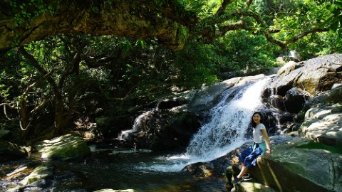 簡易遠足之選 小夏威夷徑有瀑布