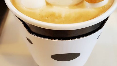 台北超治癒北極熊 Cafe