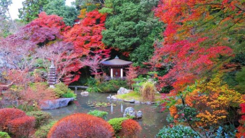 京都 3 大賞楓熱點推介【2017 交通+地圖】