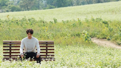 台灣都有《鬼怪》浪漫場景！　 蕎麥花海期間限定至 11 月底
