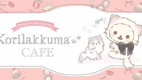 小白熊擔正扮可愛貓貓　 東京表參道 cafe 激發少女心