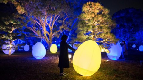$70 有找！福岡城 x teamLab 2 萬平方米光影 show