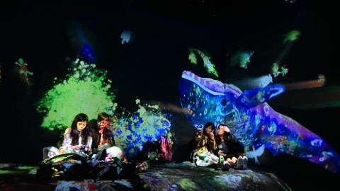 澳門聖誕月 4 大必睇活動