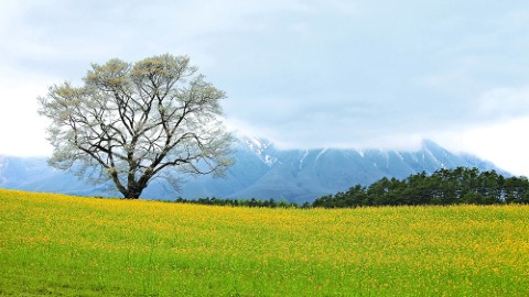 日本人自覺一生也不會去的都道府縣　