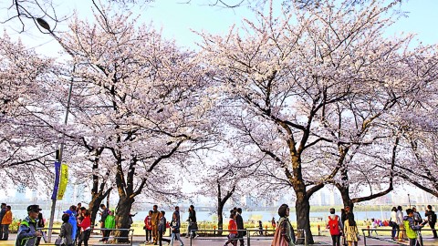 首爾、釜山機票格價報告