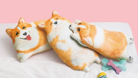 睇見就想買！ 日本超可愛動物主題雜貨 (不停更新)