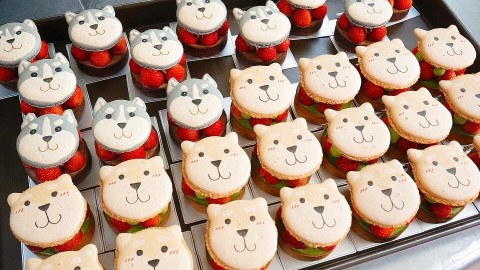 台灣新出柴犬造型甜品 超可愛汪星人抹茶草莓塔