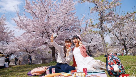 港航新推「日韓通」機票