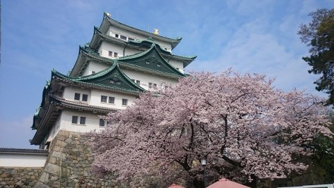 名古屋城天守閣維修 四年半後再見！