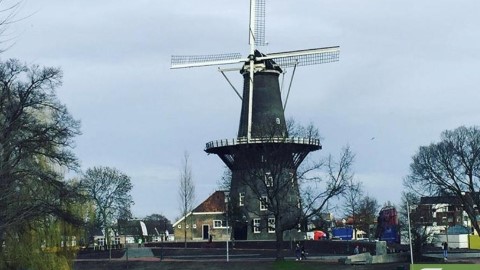 明年元旦起生效