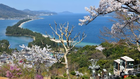 美景倒轉看變得更美！ 「日本三景」之一京都天橋立