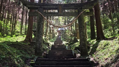 走進神秘國度探險！ 日本九州深山神社