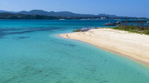 日本麻疹蔓延至東京大阪 最新全國過百人受感染