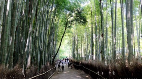 【日本京都行程】嵐山一日遊