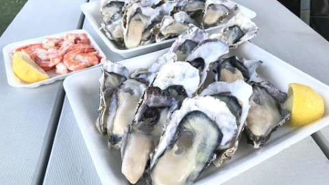 $175一打新鮮生蠔！ 澳洲昆士蘭Charis Seafood Market平嘆海鮮