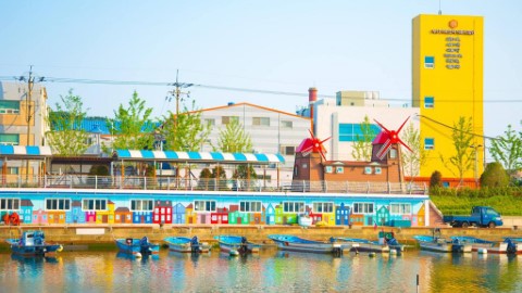 不需要到威尼斯彩色島