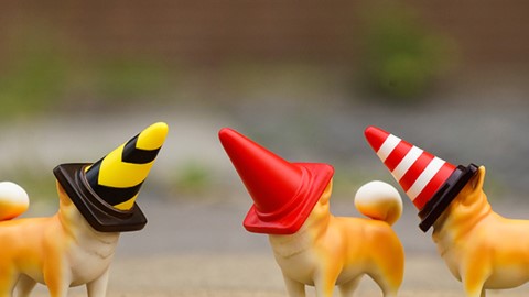 塞進雪糕筒內的可憐柴！ 日本超可愛柴犬扭蛋