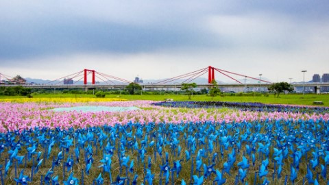 9萬支彩色風車、燈海夜景