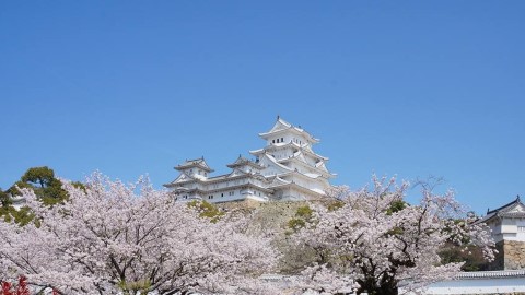 西日本景點頭10名佔8名