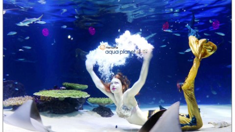 超夢幻水中美人魚表演！