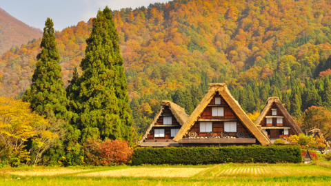 古樸之美 白川鄉‧金澤