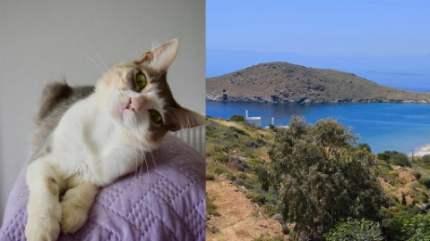 剷屎官絕世荀工！ 包食免費住希臘愛琴海別墅