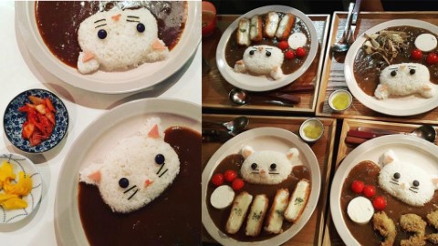 每日限量可愛白貓咖哩！ 首爾平價日式小店