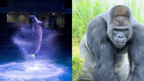 一定去過其中一個！