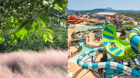 韓迷必去GD Cafe/YG娛樂小鎮！