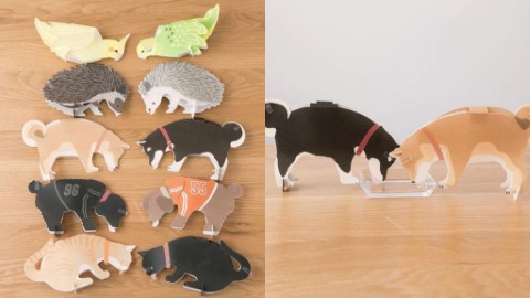 刺蝟、柴犬飲水幫你加濕！ 日本動物造型不插電加濕器