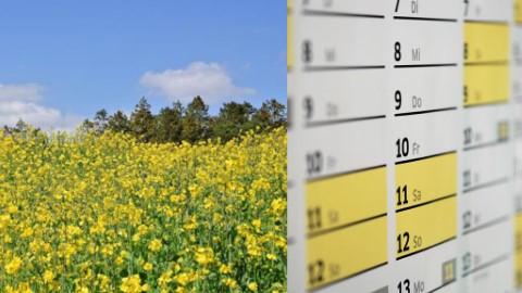 2019請假攻略+旅遊地推介！ 最長可以放足11日！