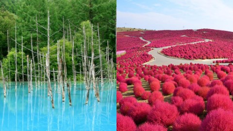 2018年日本最具魅力都道縣府排行 東京都只排第3、最後一名又係佢……