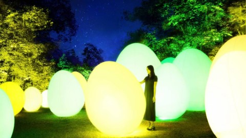 teamLab進駐東京近郊姆明村！ 大自然景色融合夢幻光影燈飾