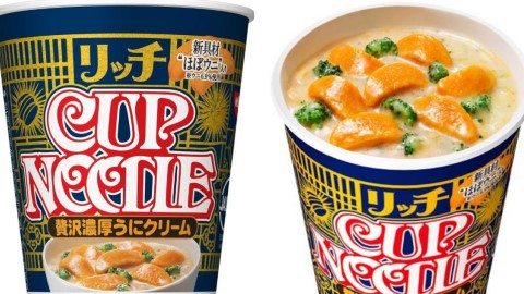 原味海膽還原度極高！ 日清新推出濃厚海膽忌廉杯麵