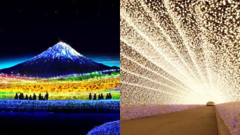 2018-19年度日本燈飾排行榜 名花之里只排第三、第一位實至名歸！