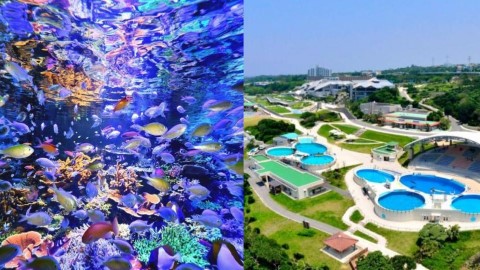 第一位實至名歸！ 日本水族館排行榜2018