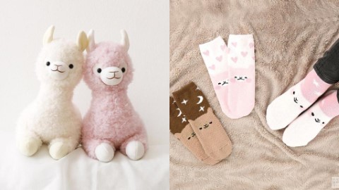 韓國Daiso推夢幻草泥馬系列 三色呆萌草泥馬！