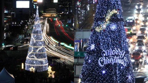 首爾超巨型聖誕樹正式點燈 最具代表性的聖誕慶典！