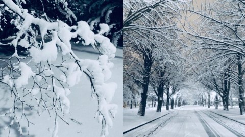 白雪夜景神秘又浪漫！ 網民拍下北海道校園唯美雪景