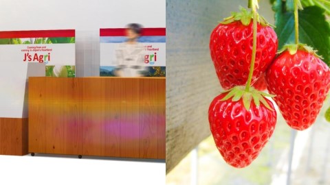 上機前先瘋狂買生果！ 大阪關西機場12月開生果店