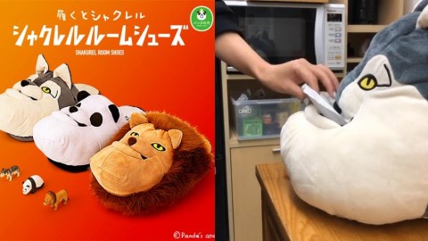 巨型下巴超搞怪！ 戽斗星球全新拖鞋、紙巾盒周邊