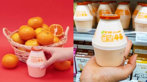 韓國國民牛奶推新口味 全新柑橘味牛奶！