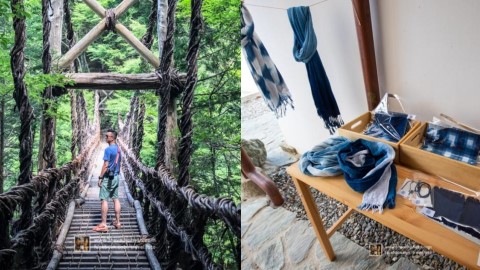 12月有直航飛德島！