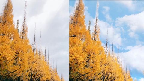 旅行出遊影相不再怕壞天氣！ 教你用免費修圖App「Lightleap」簡單3步修出晴朗天色