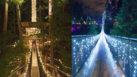 超夢幻星光吊橋！ 溫哥華吊橋公園聖誕美景
