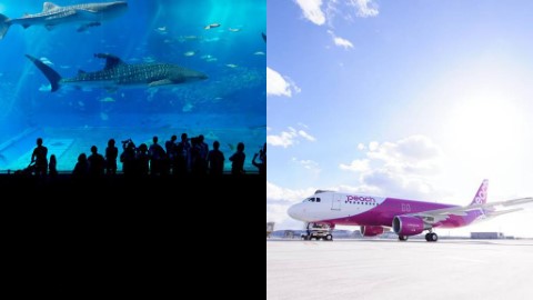 香草航空明年與樂桃航空正式合併 將廢除東京線、復辦沖繩線