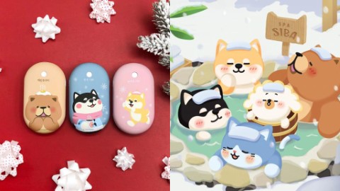 首爾SHIRO&MARO限定店 人氣柴犬孖寶有新朋友！