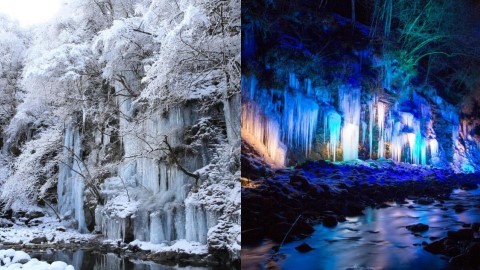 埼玉縣秩父冰柱自然奇景 夜間點燈營造夢幻神秘感