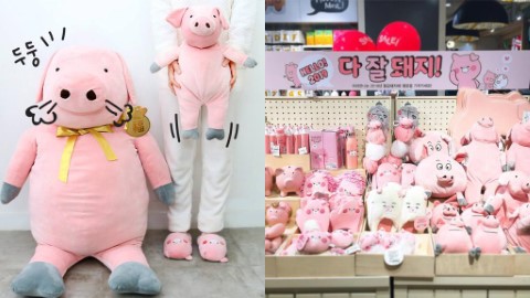 韓國雜貨店2019粉紅豬系列 天然呆小肥豬攬枕！